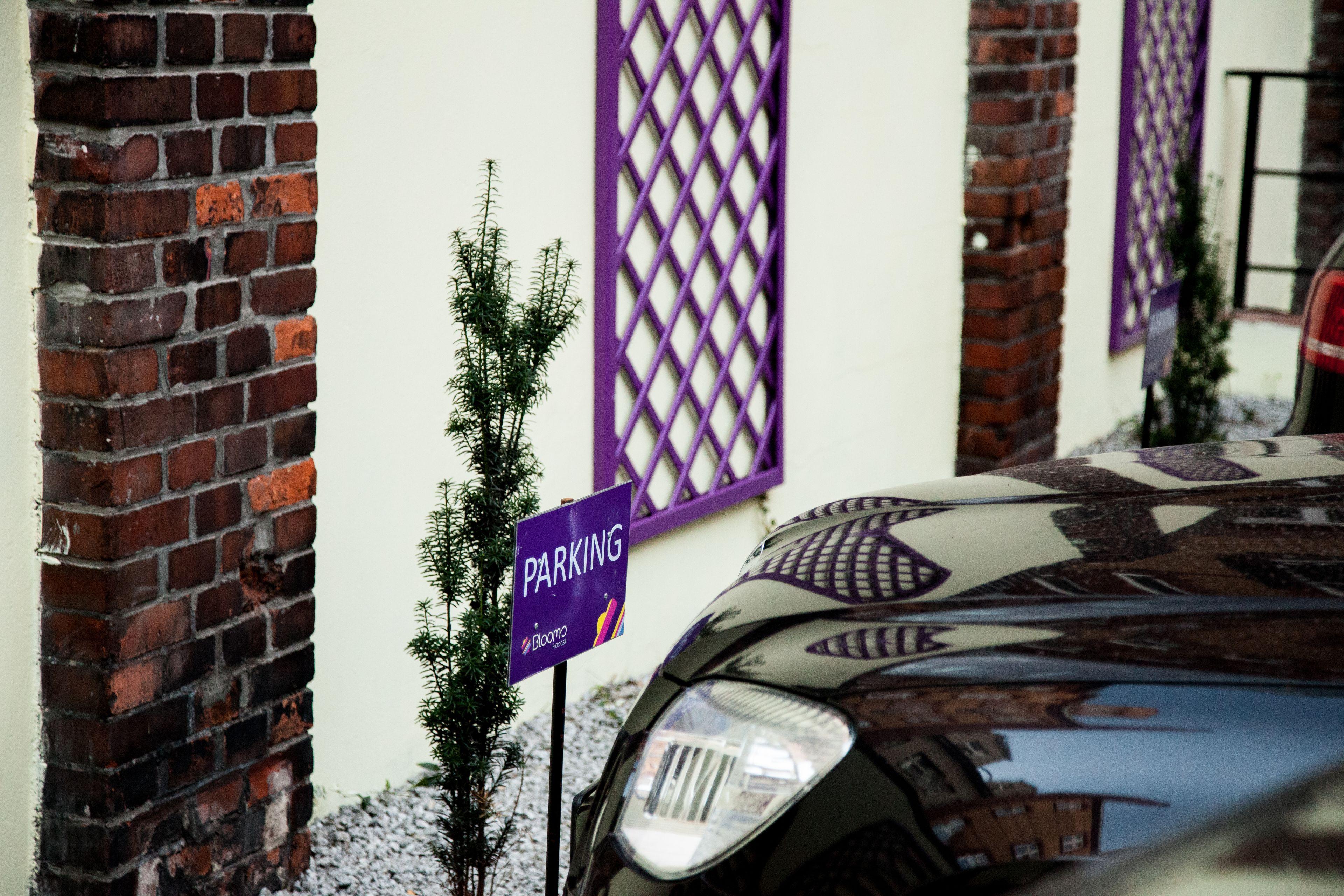 Blooms Boutique Hostel By Friendly Apartments - Poznan, Poznan